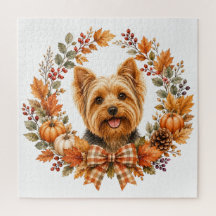 Yorkshire Terrier Höst