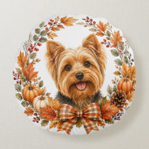 Yorkshire Terrier Höst