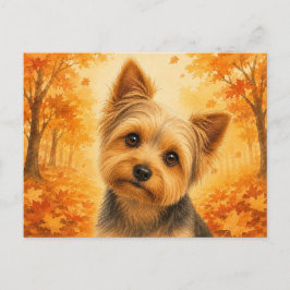 Yorkshire Terrier Höst Skog Hund Vykort