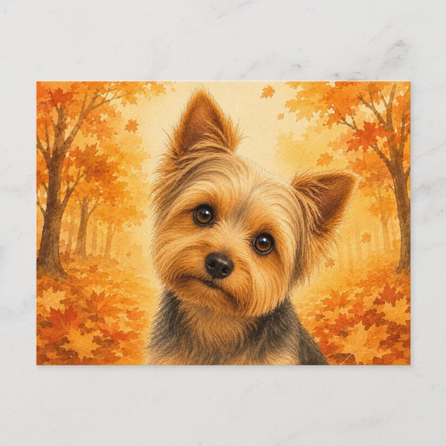Yorkshire Terrier Höst Skog Hund Vykort (Framsida)