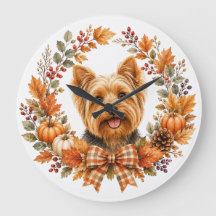 Yorkshire Terrier Höst