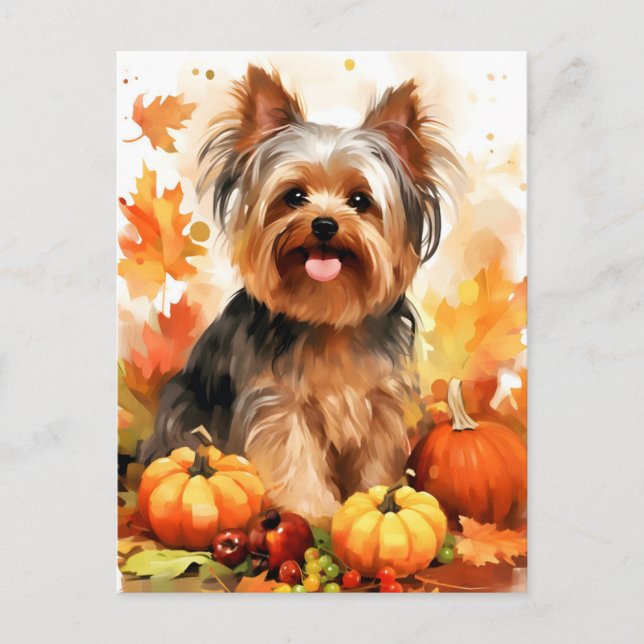 Yorkshire Terrier Höst Tacksgiving  Vykort (Framsida)