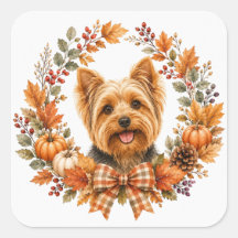 Yorkshire Terrier Höstkrans