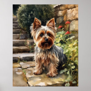 Yorkshire Terrier Hund Art Print Poster