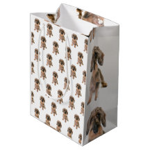Yorkshire Terrier Hund Brown Pet Modern Animal Cut