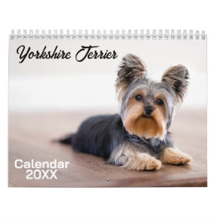 Yorkshire Terrier Hund Calendar 2026 Kalender