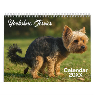 Yorkshire Terrier Hund Calendar 2026 Kalender