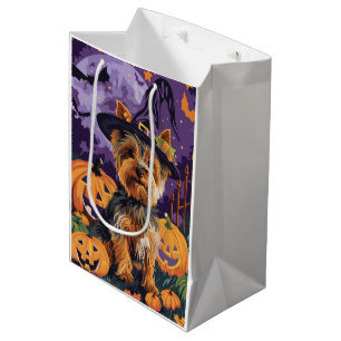Yorkshire Terrier Hund Halloween Witch och Pumpkin