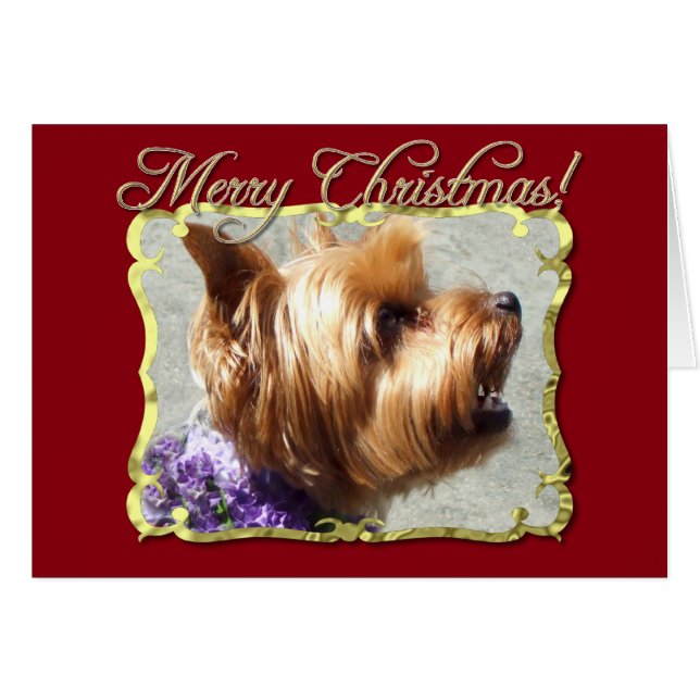 Yorkshire Terrier hund Hälsningskort (Framsidan Horizontal)