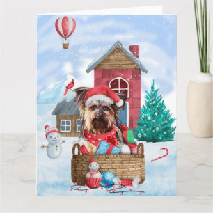 Yorkshire Terrier Hund I snö Jul Hund Hus Kort