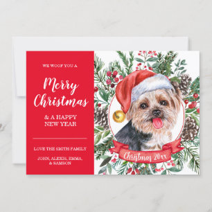 Yorkshire Terrier Hund Inpass-julkort Kort