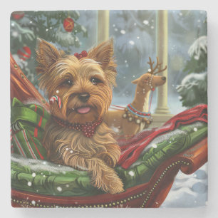 Yorkshire Terrier Hund Jul Festlig Stenunderlägg