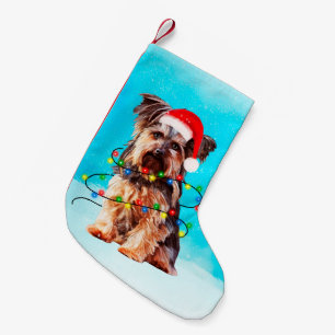 Yorkshire Terrier Hund jul Santa Hat Ljus Liten Julstrumpa