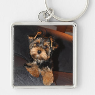 Yorkshire Terrier Hund Keychain Fyrkantig Silverfärgad Nyckelring
