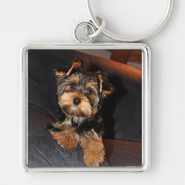 Yorkshire Terrier Hund Keychain Fyrkantig Silverfärgad Nyckelring (Framsidan)