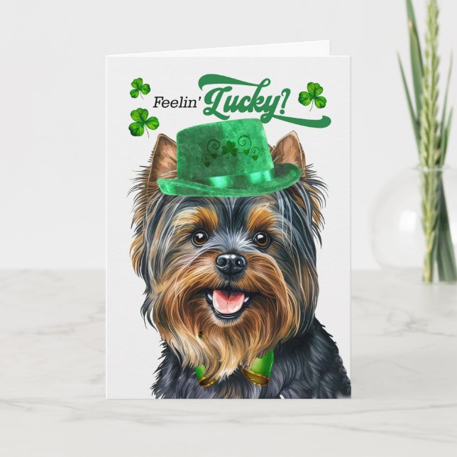 Yorkshire Terrier Hund Lucky St patrick's day Helgkort (Framsida)