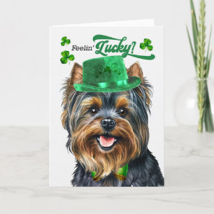 Yorkshire Terrier Hund Lucky St patrick's day Helgkort