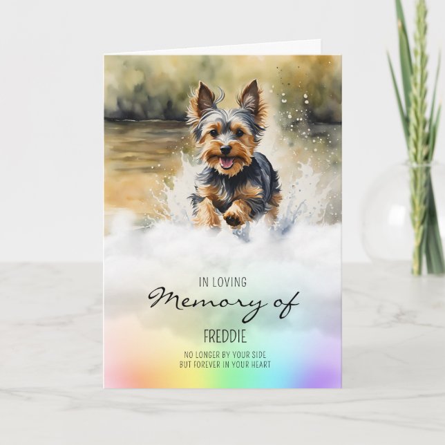 Yorkshire Terrier-hund medlidande vid förlust av h Kort (Framsida)