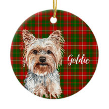 Yorkshire Terrier Hund Personlig
