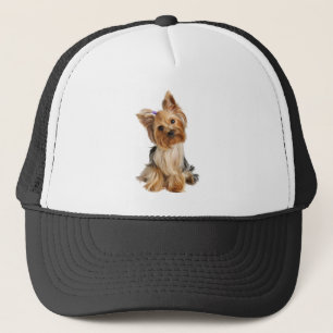 Yorkshire Terrier Hund Pet Animal Anpassningsbar Keps