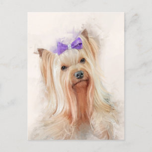 Yorkshire Terrier Hund Porträtt Vykort