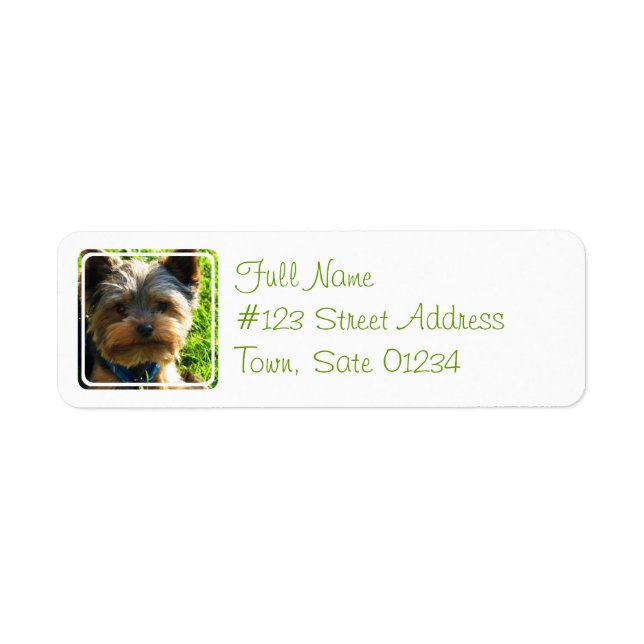 Yorkshire Terrier Hund Return Address Label Returadress Etikett (Framsidan)