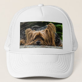 Yorkshire Terrier Hund Truckerkeps