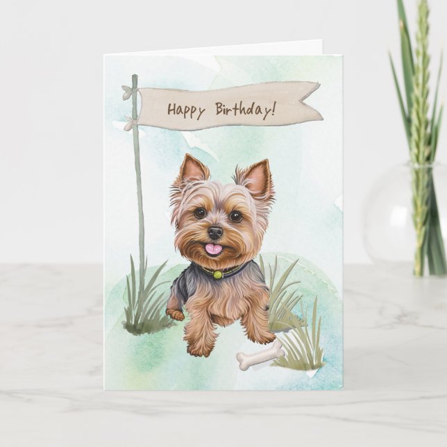 Yorkshire Terrier-Hund utomhus under födelsedagssk Kort (Framsida)