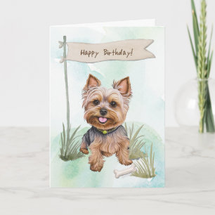 Yorkshire Terrier-Hund utomhus under födelsedagssk Kort