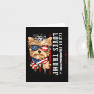Yorkshire Terrier Hund Yorkie Till och med min hun Kort