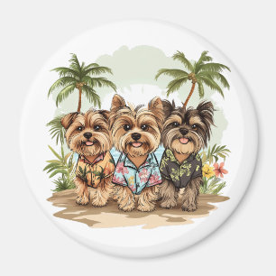 Yorkshire Terrier Hundar Hawaiiträjor Magnet