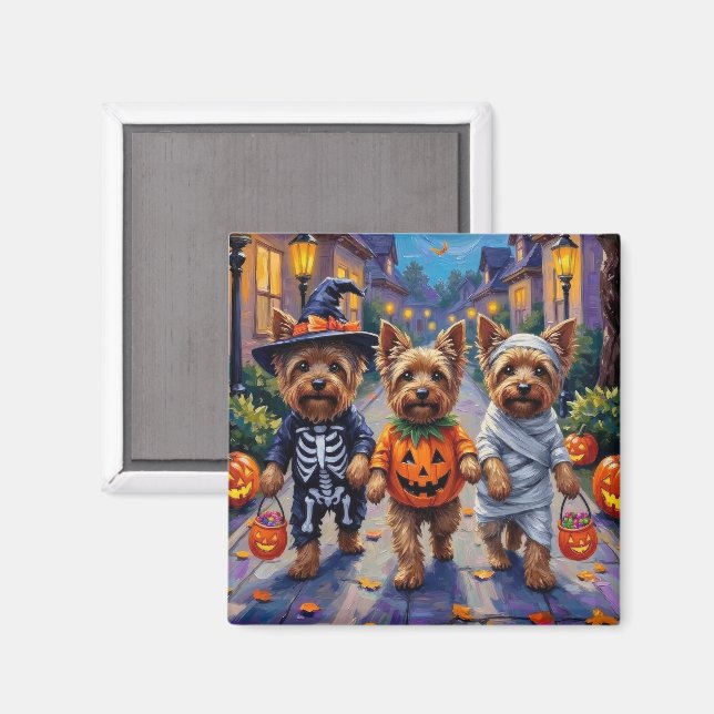 Yorkshire Terrier Hundar i Halloween Kostymer Magnet (Front/Back)