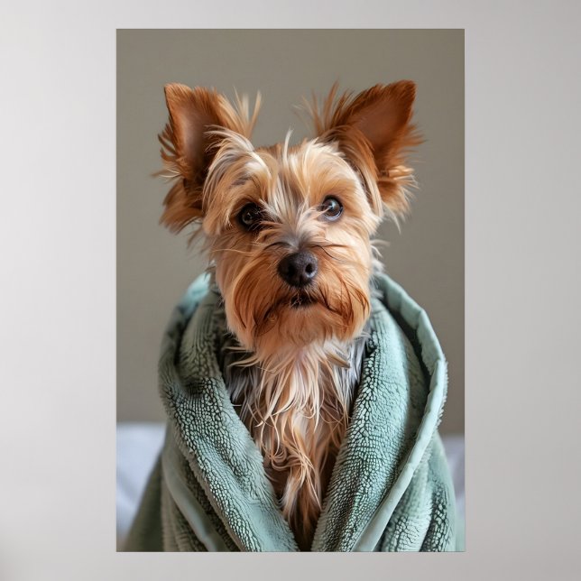 Yorkshire Terrier i badrock, rolig hundbadrum Poster (Framsidan)