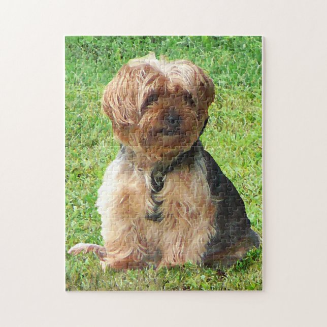 Yorkshire Terrier i Park Pussel (Vertikal)