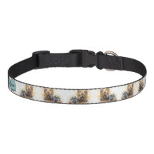 Yorkshire Terrier-ID Collar| Yorkik-ID-kollar