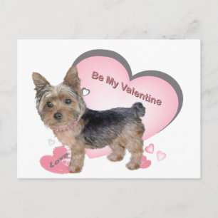 Yorkshire Terrier in Rosa Cards Vykort