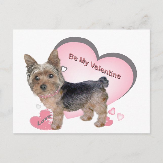 Yorkshire Terrier in Rosa Cards Vykort (Framsida)