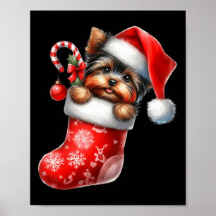 Yorkshire Terrier in Sock Santa Hat Julafton Poster