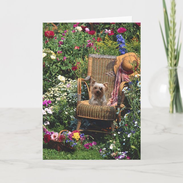 Yorkshire Terrier in the Garden Greeting Card Kort (Framsida)