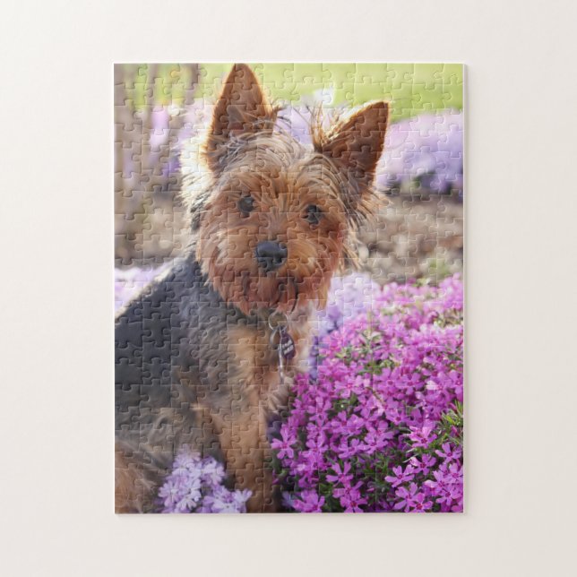 Yorkshire Terrier Jigszle Puzzle Pussel (Vertikal)