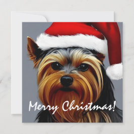 Yorkshire Terrier jul