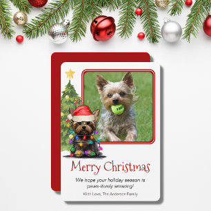 Yorkshire Terrier jul Pet Hund One Photo Julkort