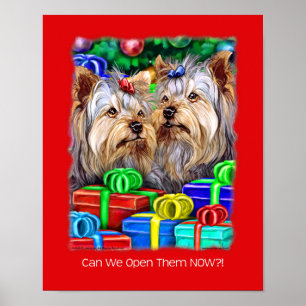 Yorkshire Terrier-julklappar Poster