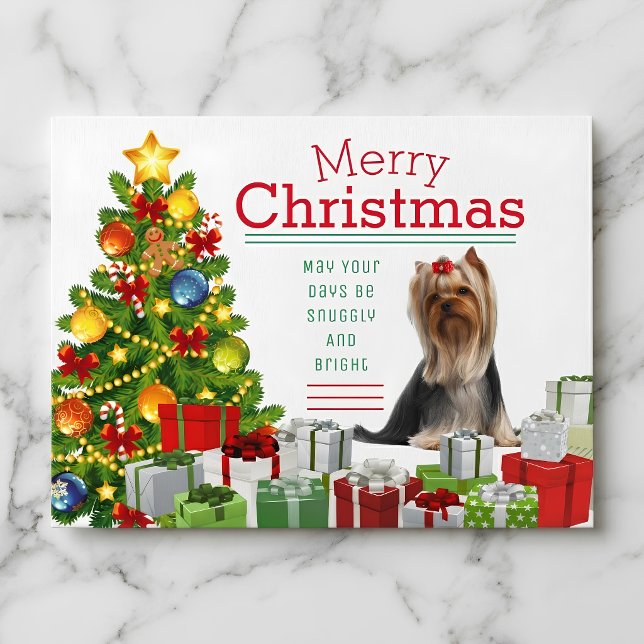 Yorkshire Terrier Julkort Helg Vykort (Yorkshire Terriers make the season bright.)