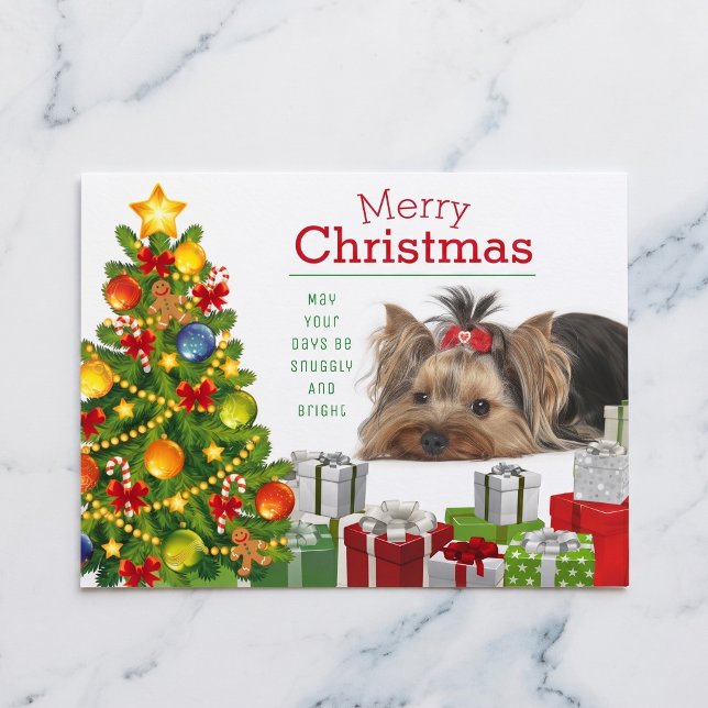 Yorkshire Terrier Julkort Helg Vykort (Yorkshire Terriers make the season bright.)