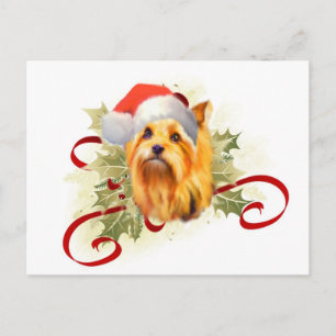 Yorkshire Terrier-julkort Helg Vykort