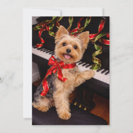 Yorkshire Terrier Julkort med Piano