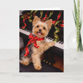 Yorkshire Terrier Julkort med Piano Helgkort
