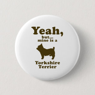 Yorkshire Terrier Knapp