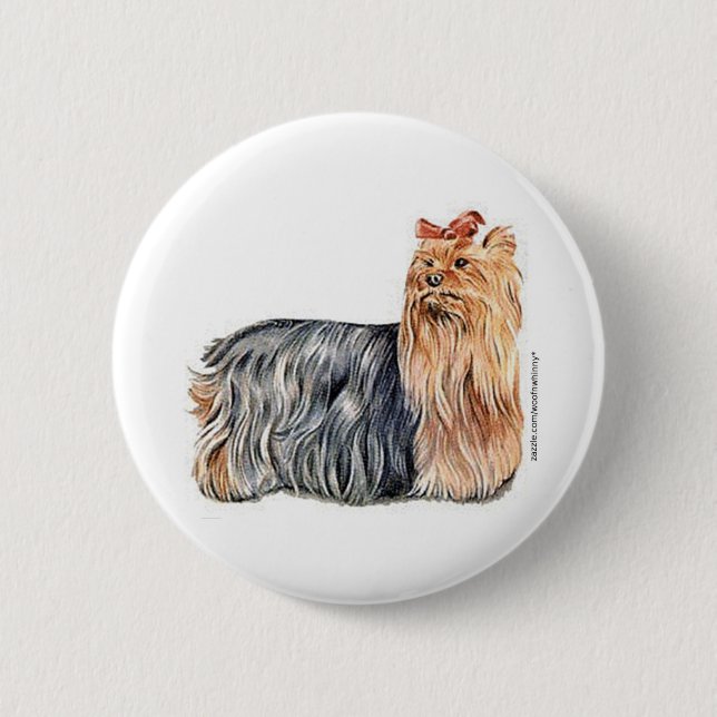 Yorkshire Terrier Knapp (Framsida)